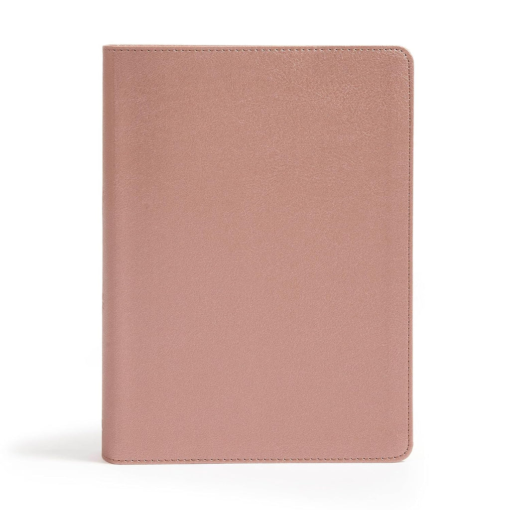 The Jesus Bible Stuffed