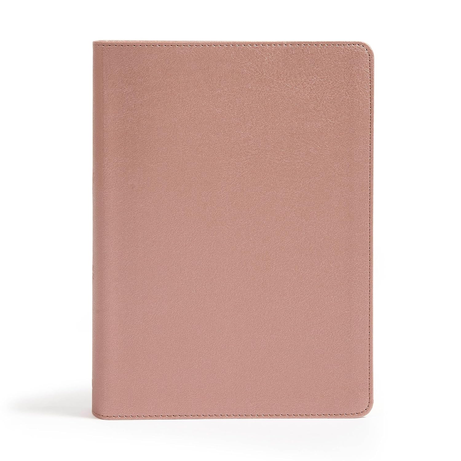 The Jesus Bible Stuffed