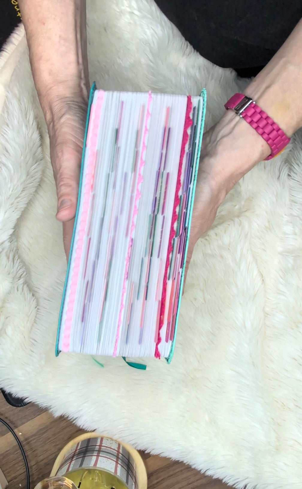 The Jesus Bible Stuffed
