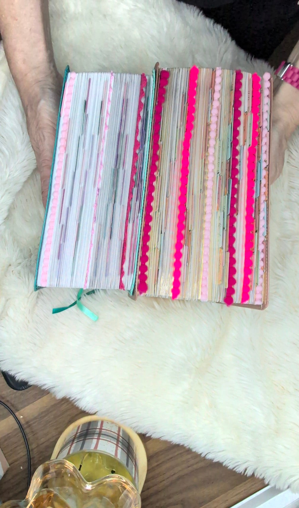The Jesus Bible Stuffed