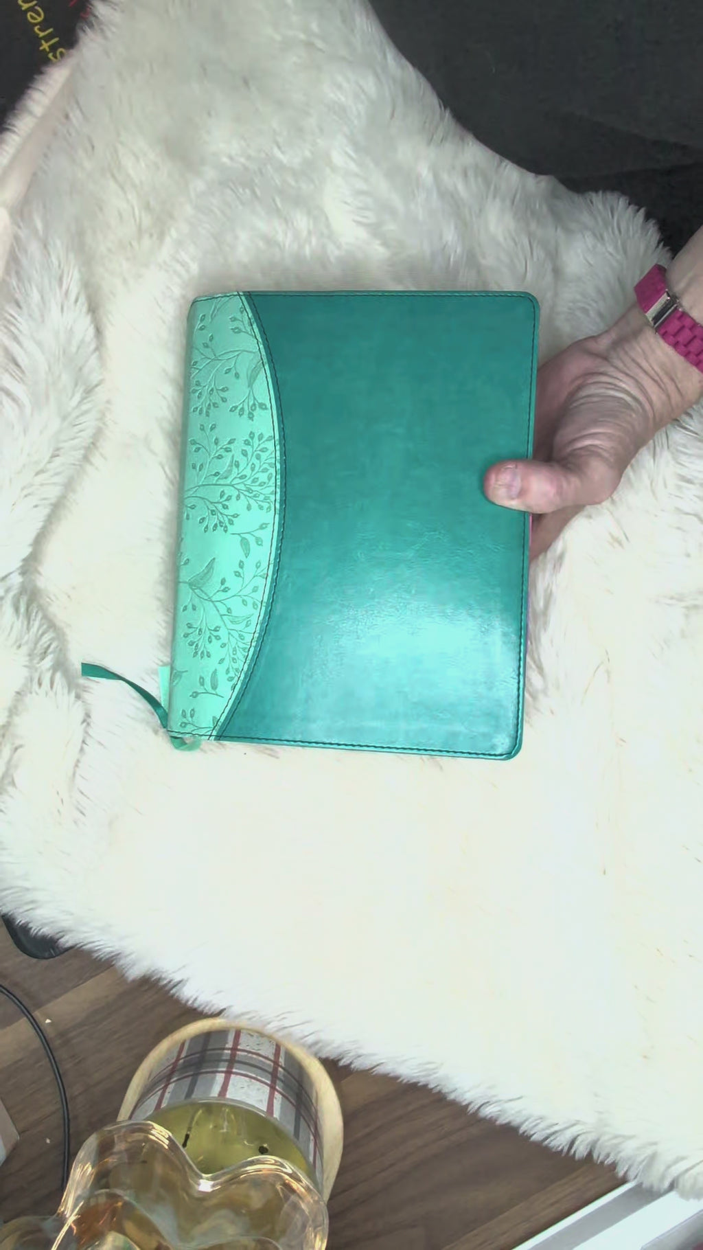 The Jesus Bible Stuffed