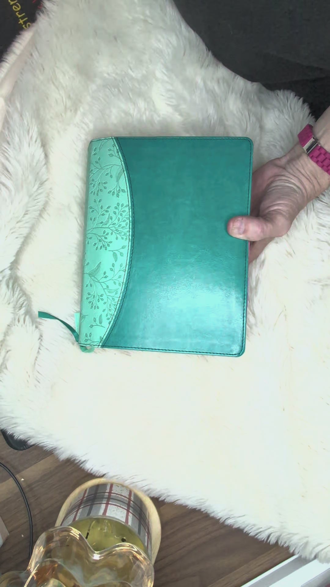 The Jesus Bible Stuffed