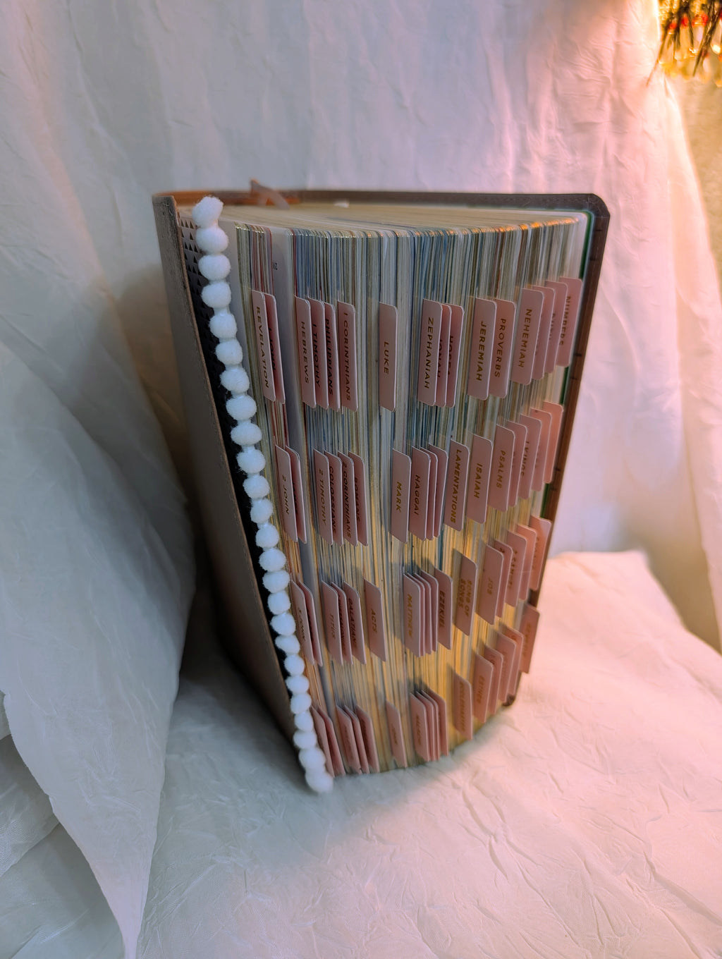 The Jesus Bible Stuffed