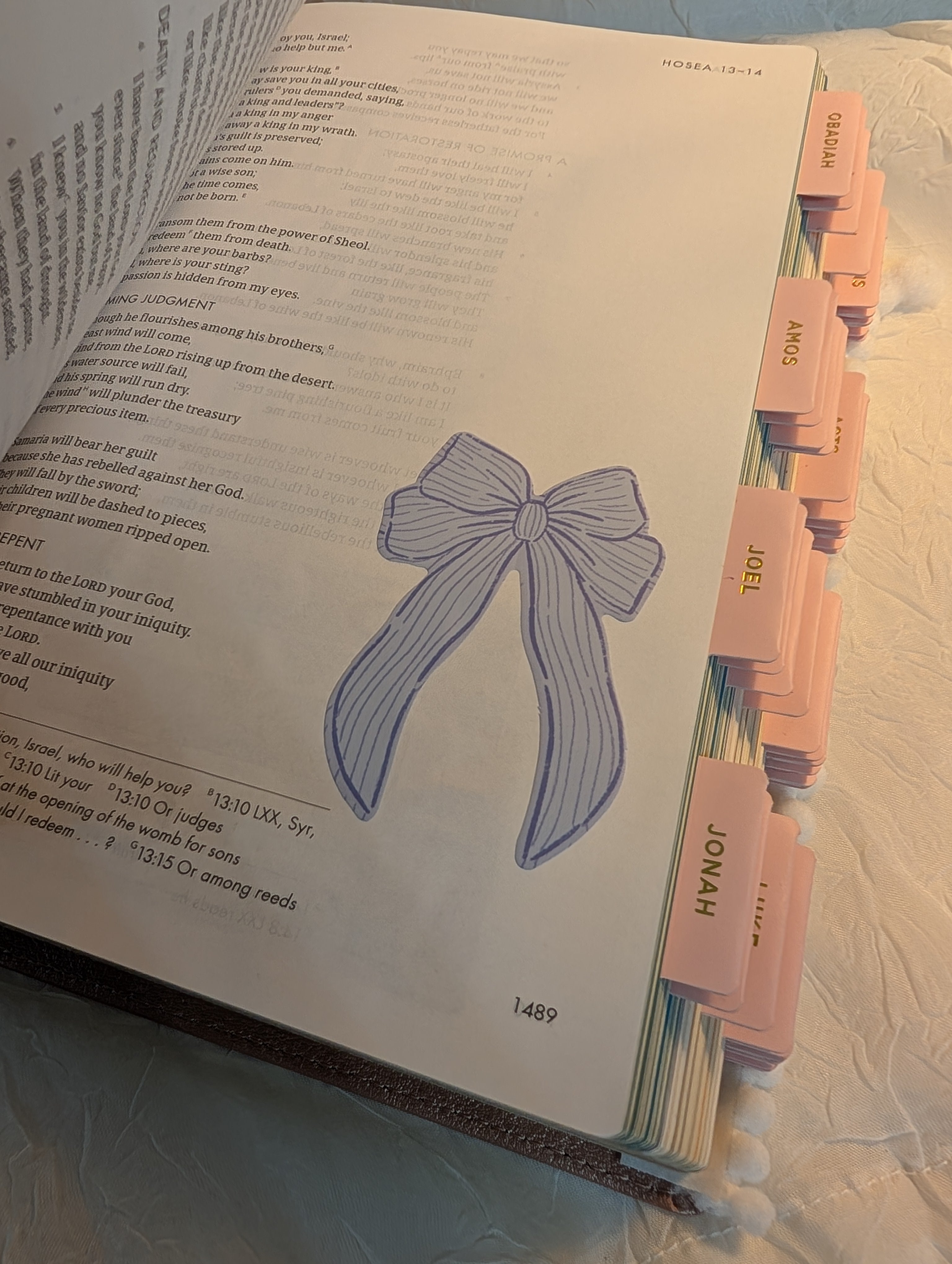 The Jesus Bible Stuffed