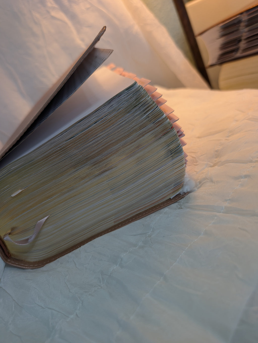 Your Bible Loaded