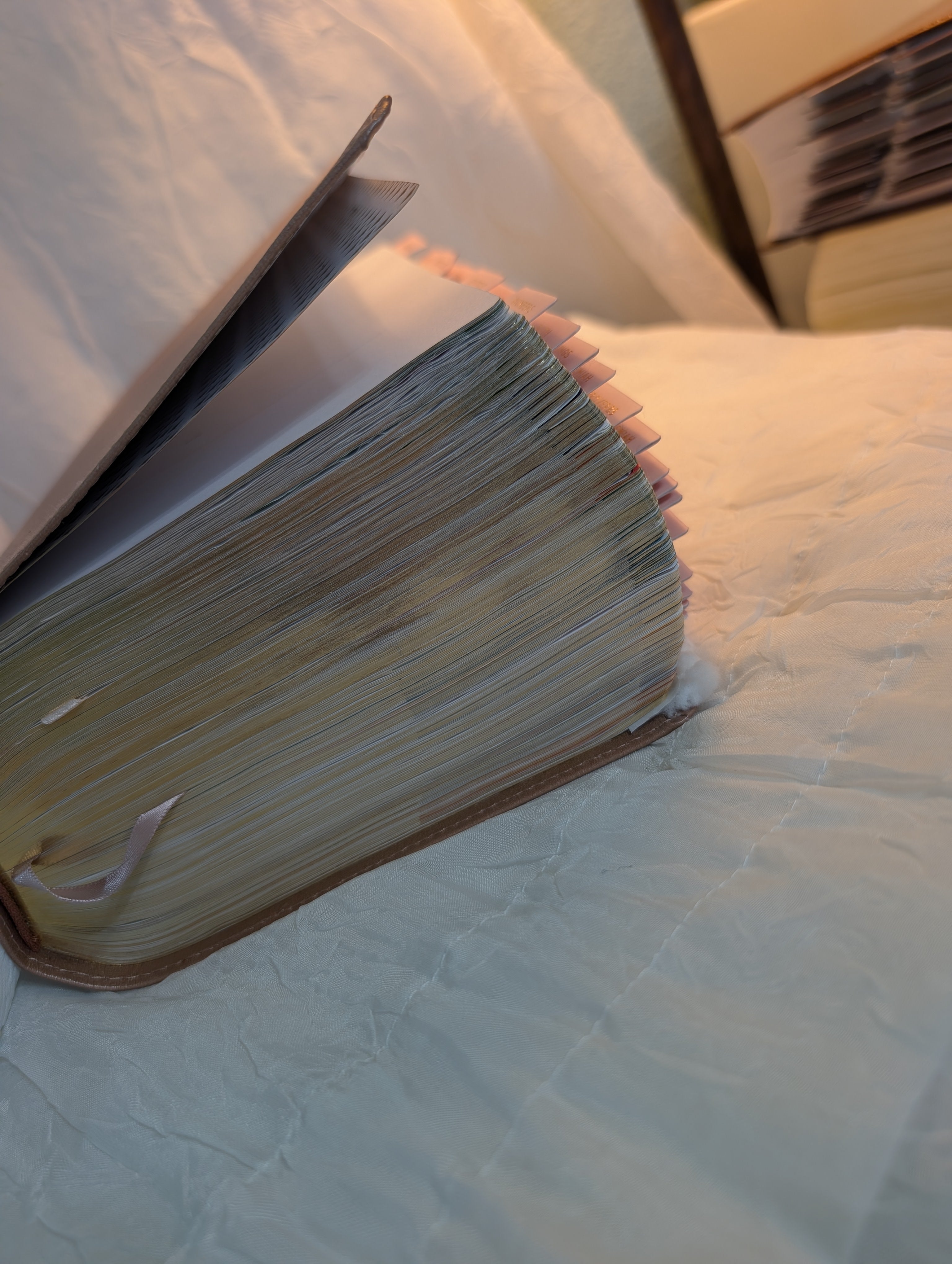 Your Bible Loaded
