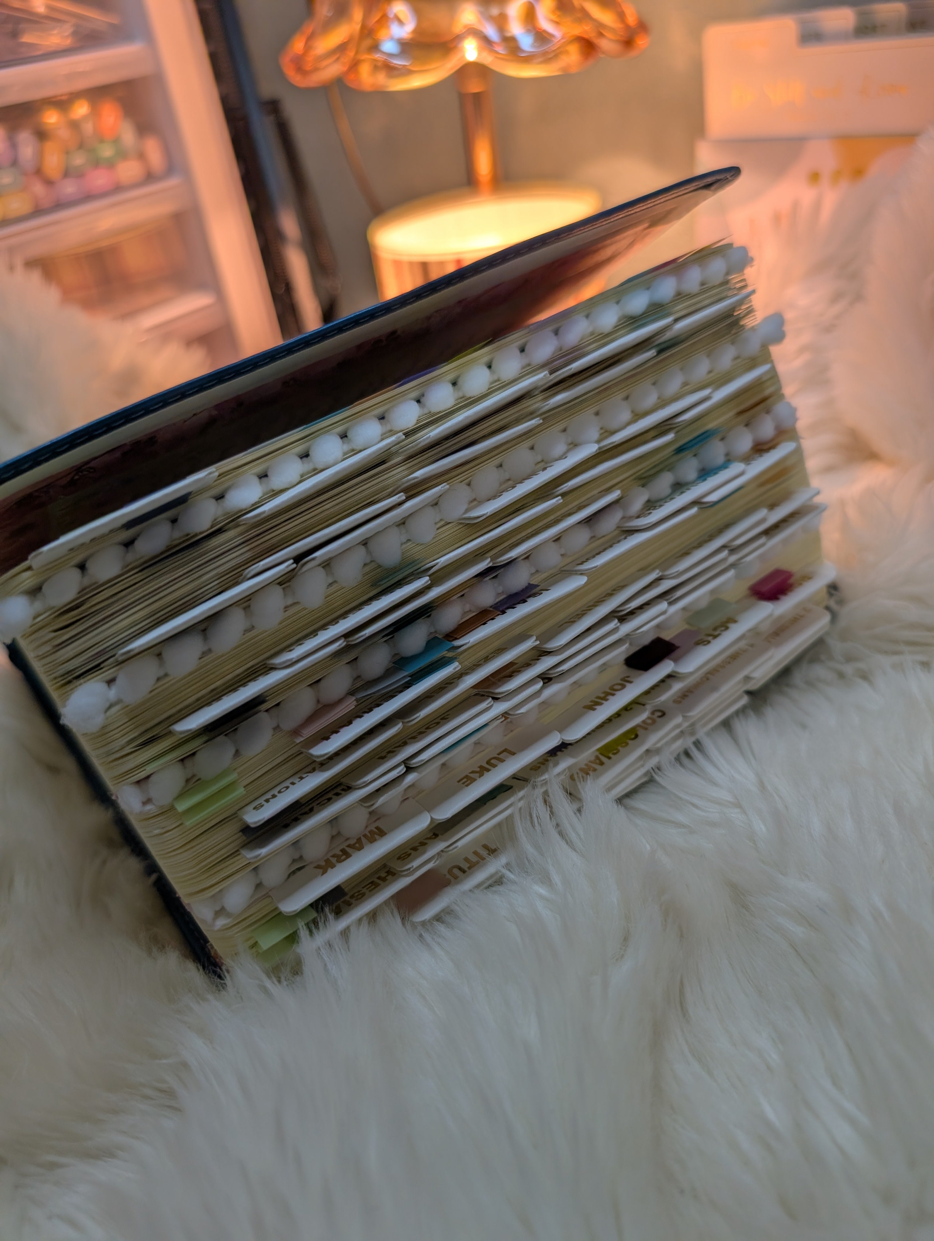 Your Bible Loaded