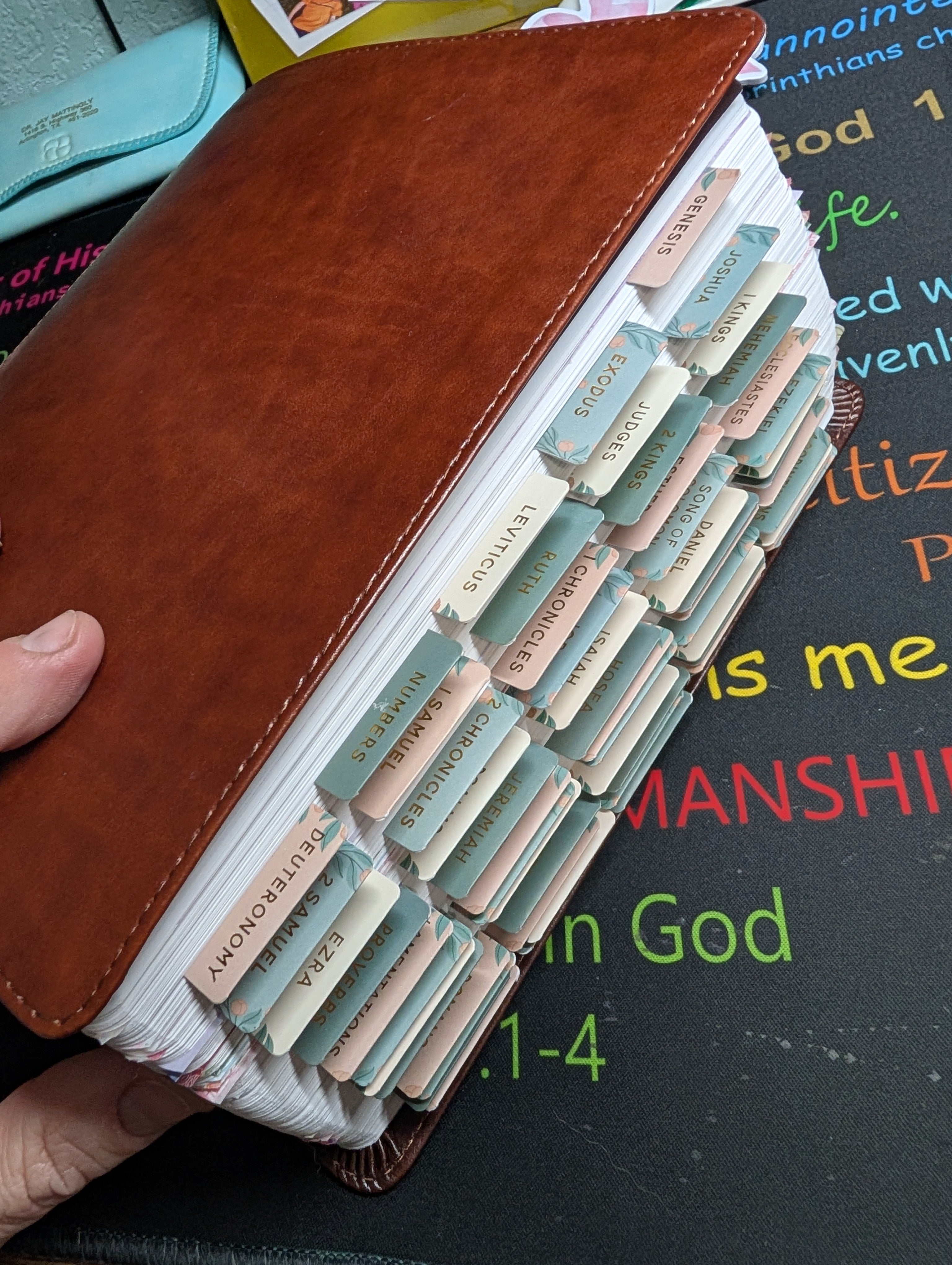 The Jesus Bible Stuffed