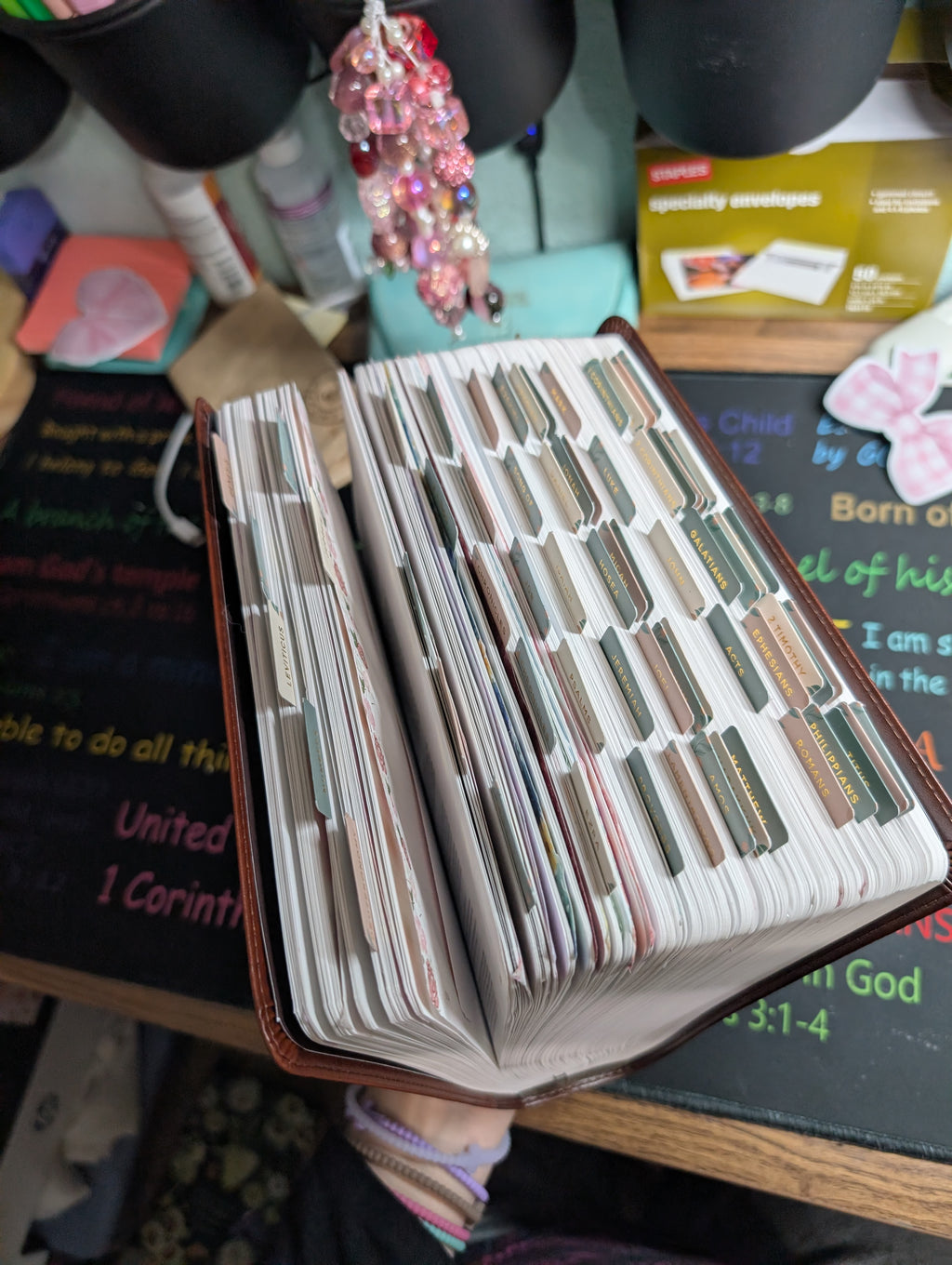 The Jesus Bible Stuffed